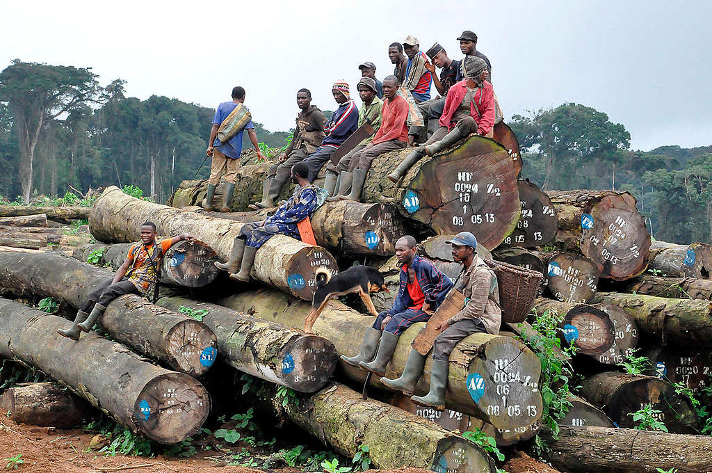 Villagers Visit Oil Palm Plantation in Cameroon. © Jean-Pierre Kepseu / Greenpeace