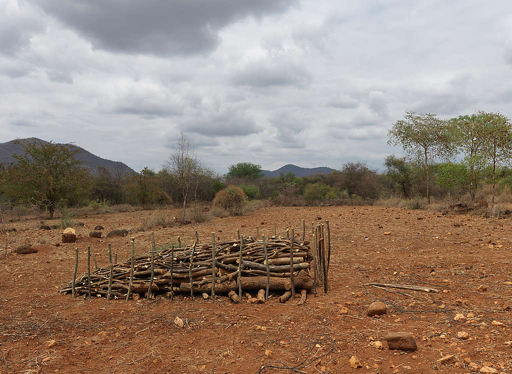 Dried up Land in Kenya. © Peter Caton / Greenpeace