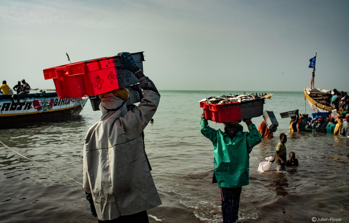 Stolen Fish in West Africa - Stand 4 Women. © Julien Flosse / Greenpeace