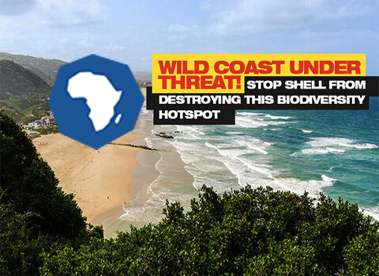 vuma.earth: stop Shell’s seismic testing off the coast of SA!