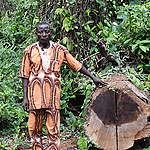 Projet de palmeraie Camvert SA : Sauvons les forêts camerounaises avant que l’irréparable ne se produise