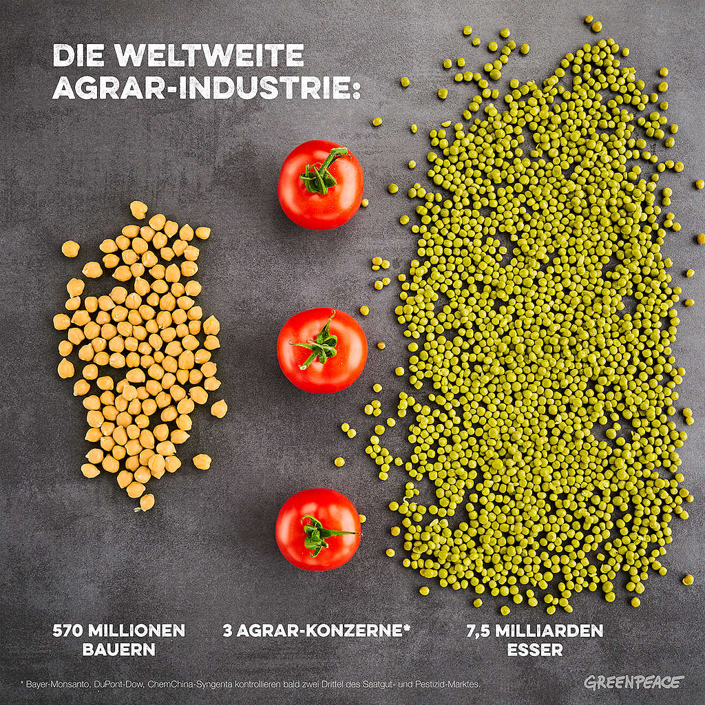 As of End-2017, 3 Agro-companies Will Dominate the Global Agro-system (German Text). © Mitja Kobal / Greenpeace