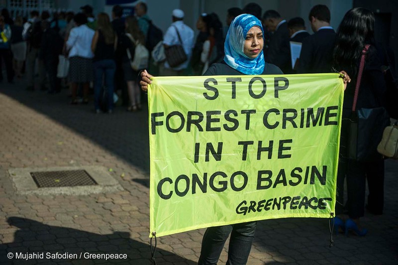 Concerns regarding the Democratic Republic of Congo oil and gas auction and donor financing of pre-COP27