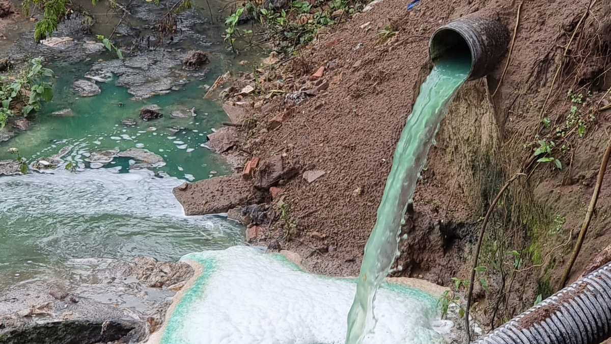 eThekwini contaminated water; We are swimming in faeces while dodging E