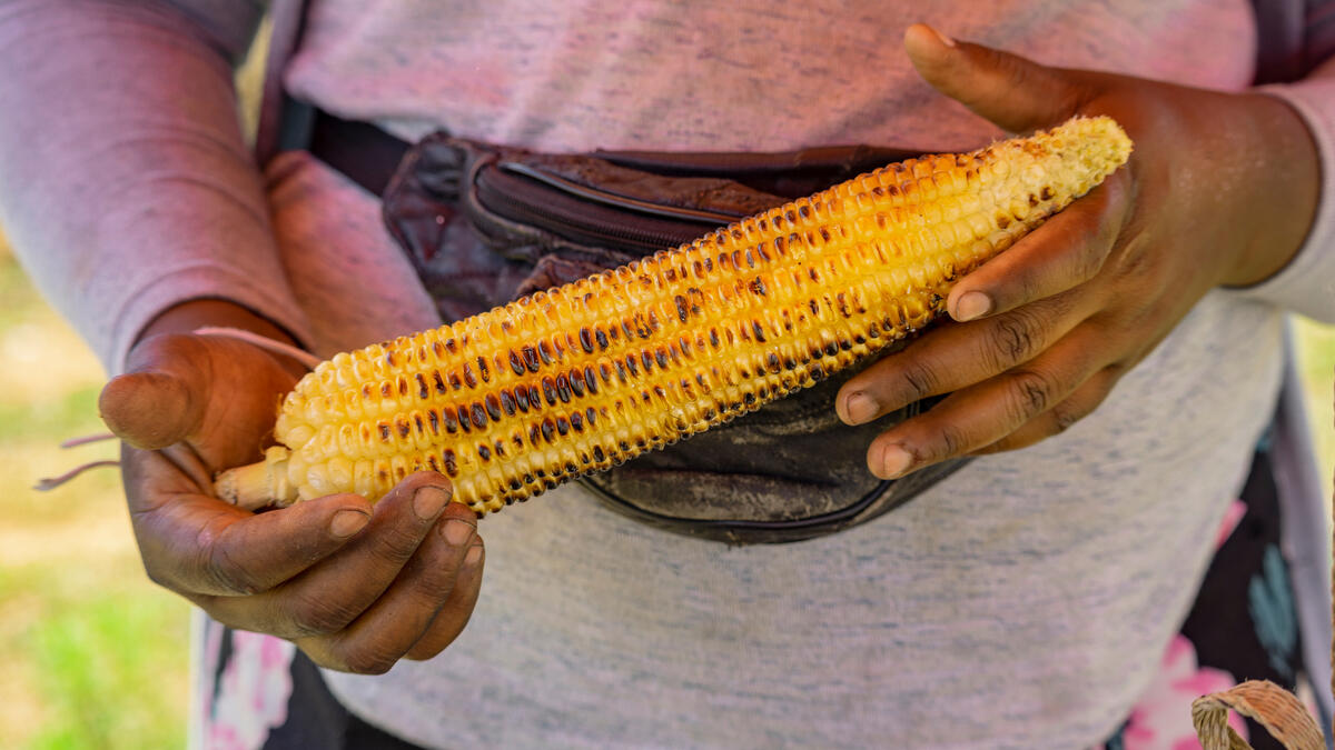 Street Food in Johannesburg. © Philip Schedler / Greenpeace