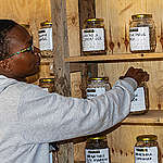 Punitive seed law: an obstacle to food and seed sovereignty