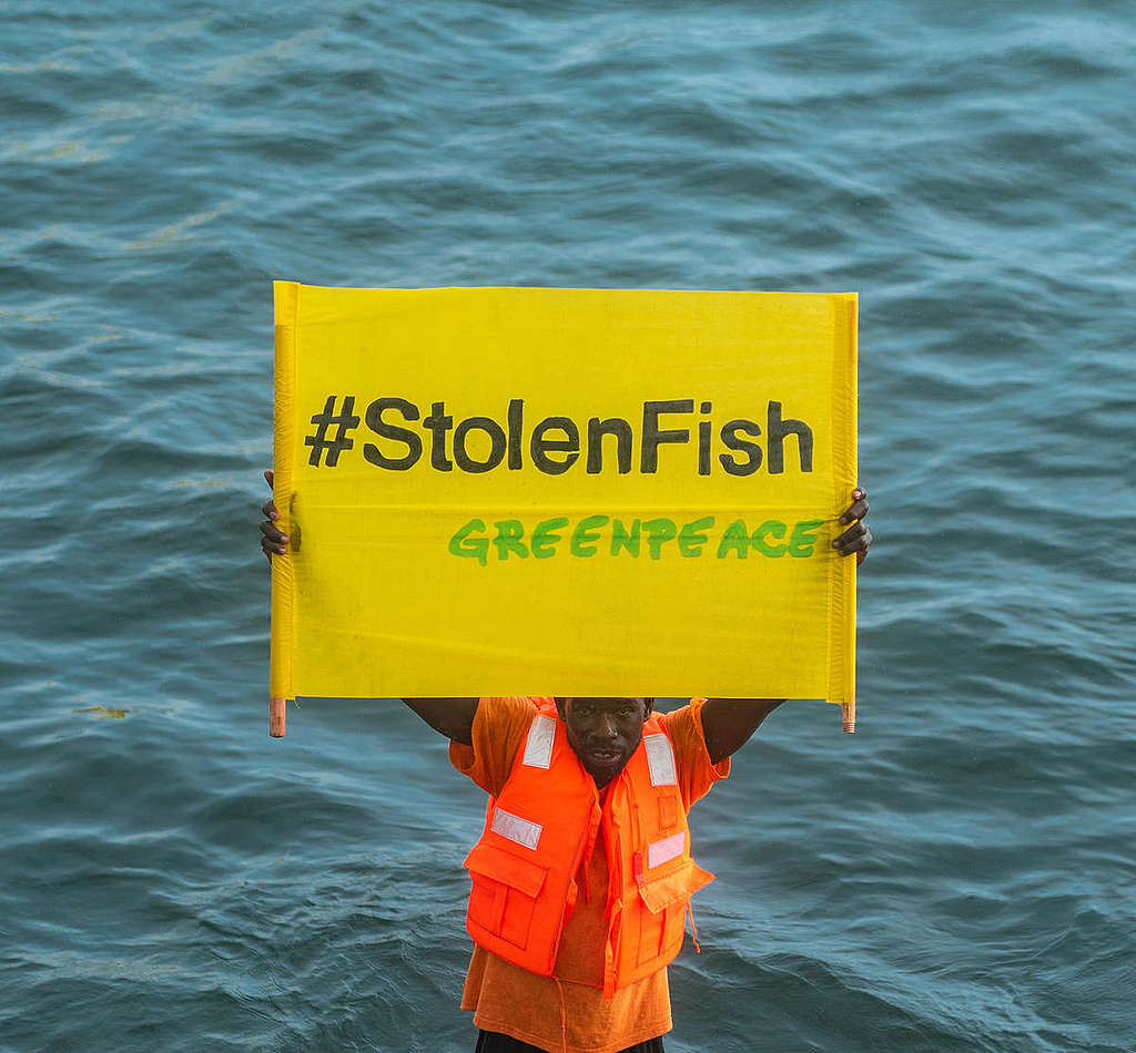 Local Fishermen Activity in Dakar. © Pape Diatta Sarr / Greenpeace Local Fishermen Activity in Dakar. © Pape Diatta Sarr / Greenpeace