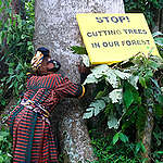 Biodiversity Day Action in Cameroon. © Boni Patou / Greenpeace