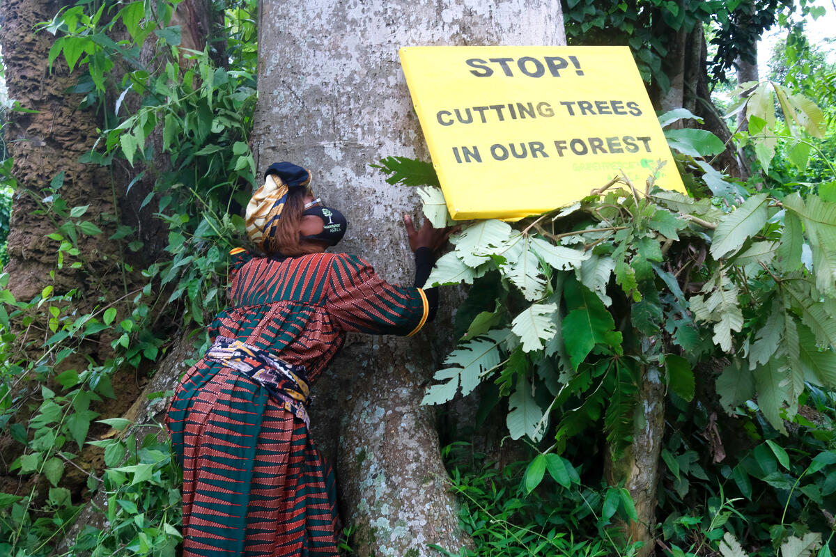 Biodiversity Day Action in Cameroon. © Boni Patou / Greenpeace