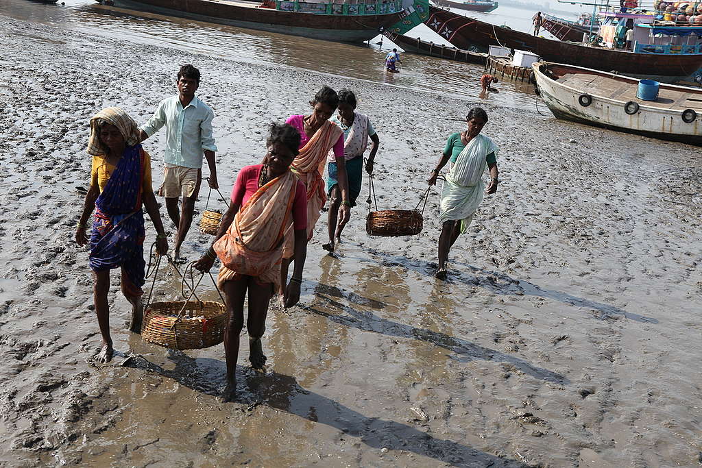Fishing Community in India. © Sudhanshu Malhotra / Greenpeace Fishing Community in India. © Sudhanshu Malhotra / Greenpeace