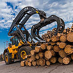 Greenpeace Africa responds to reinstatement of logging ban