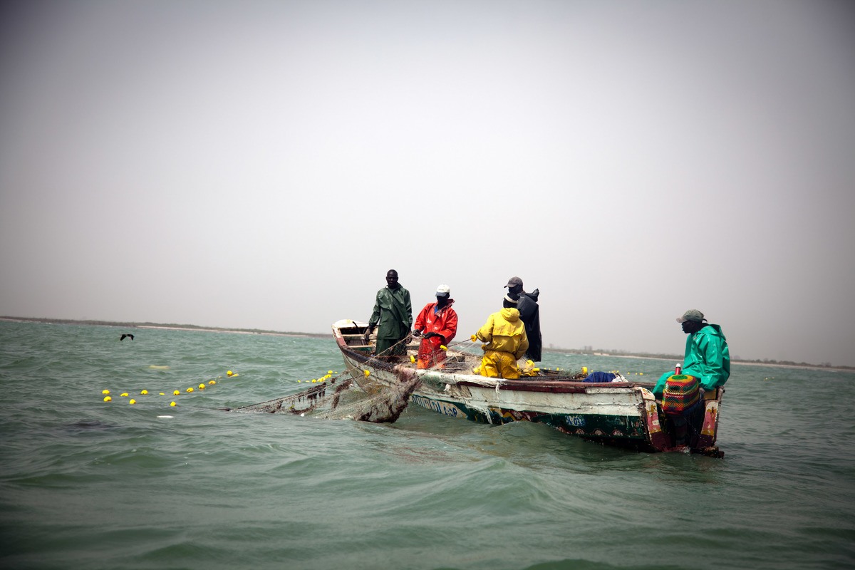Fishing in Senegal. © Gordon Welters / Greenpeace