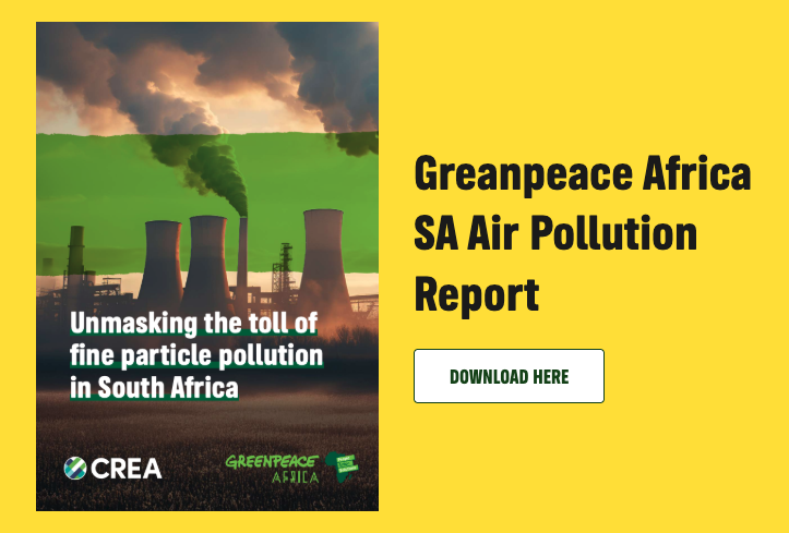 REPORT: Unmasking the toll of fine particle pollution in South Africa