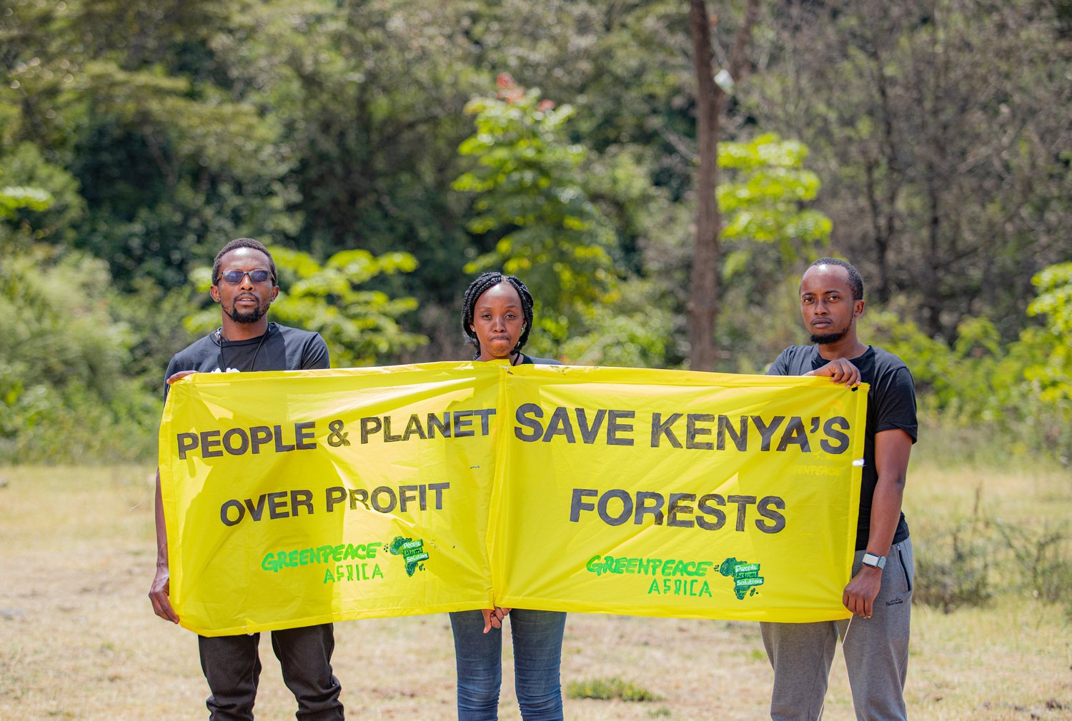 No, we cannot cut down trees for concrete. Forests must stand in a growing Nairobi.