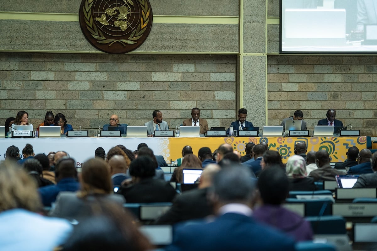 AMCEN: Greenpeace Africa welcomes unified stance but cautions against false climate solutions