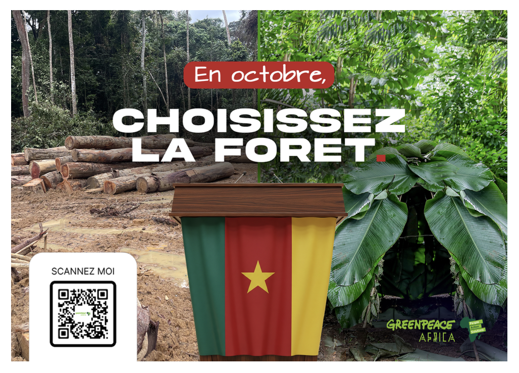 Le Cameroun que nous voulons pour les 7 prochaines années – demandes électorales au Cameroun.