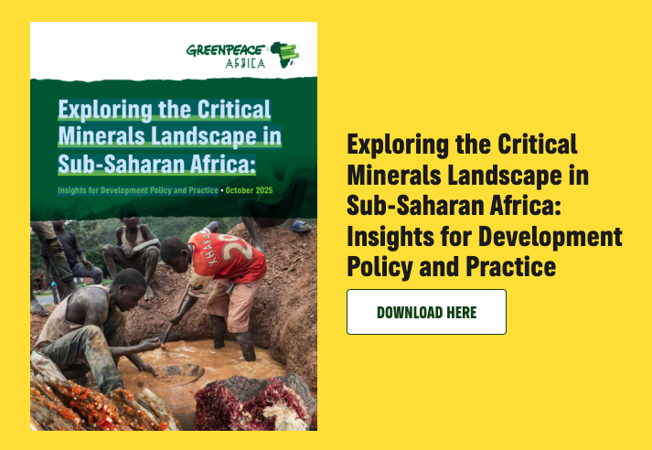 REPORT | Exploring the Critical Minerals Landscape in Sub-Saharan Africa: Insights for Development Policy and Practice