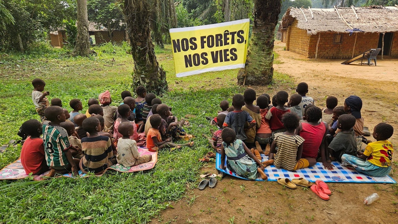 Our forests, our lives: when the children of Lokolama draw the future of the Congo Basin