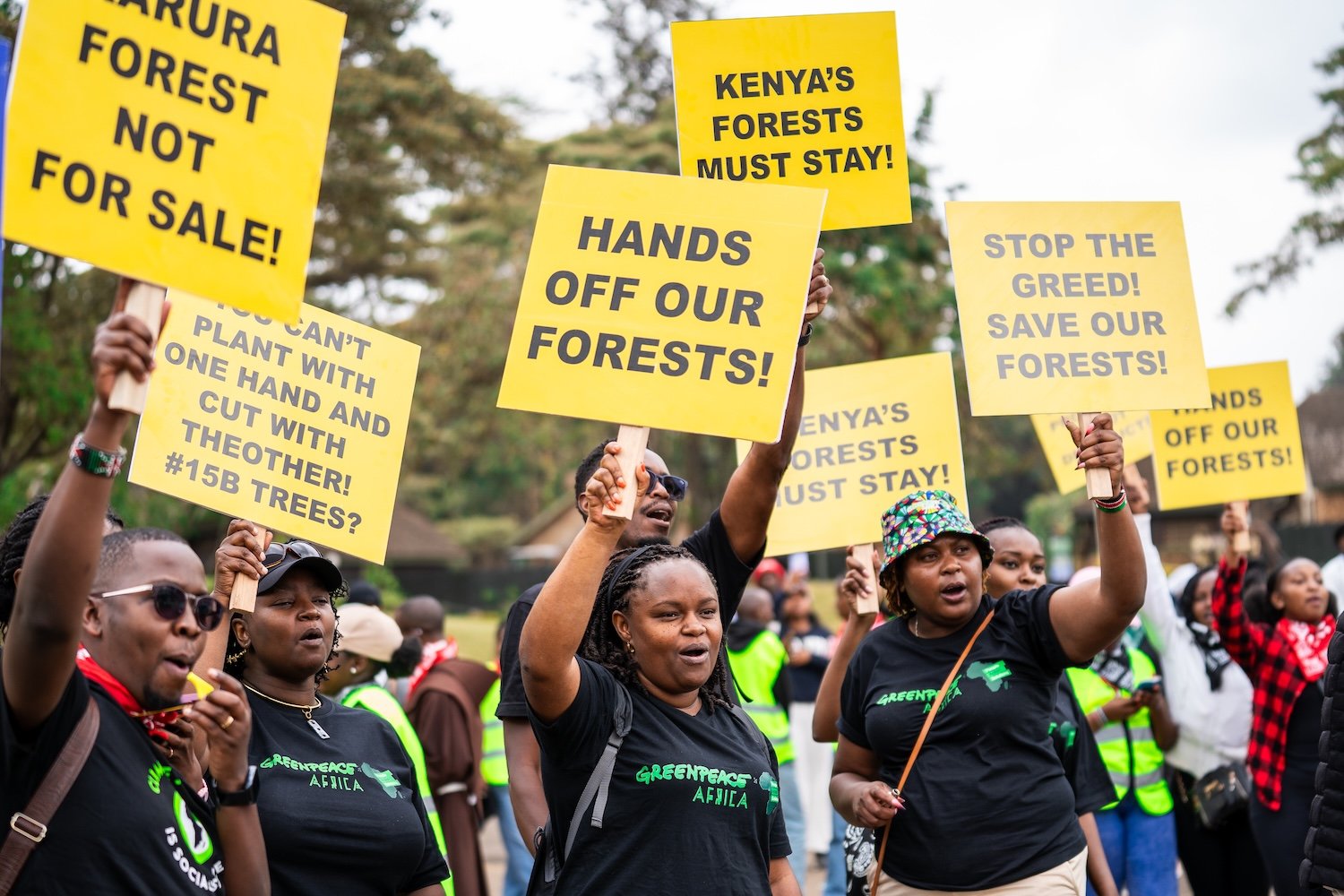 Joint statement on the lifting of the logging ban in the Mau Forest Complex