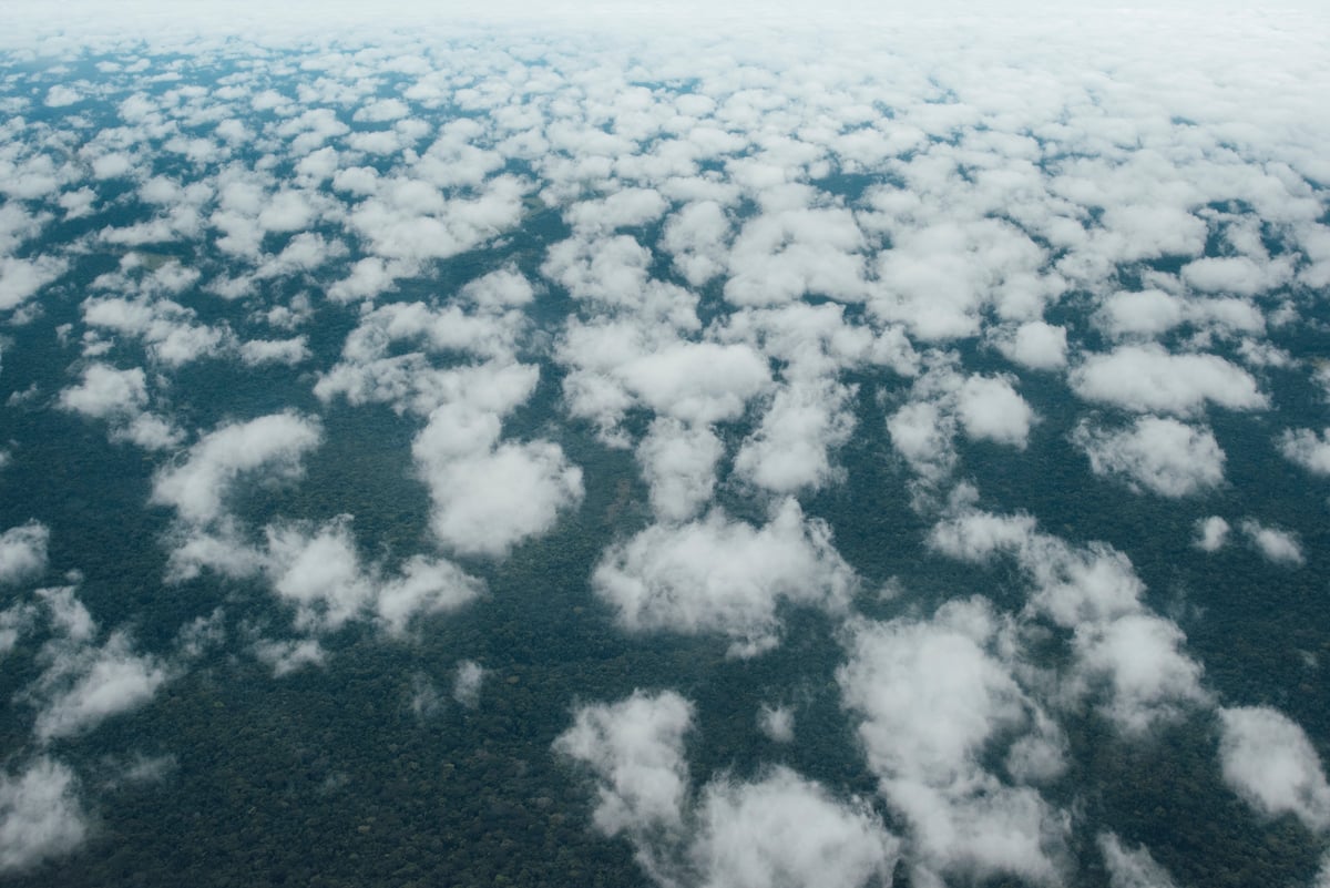 Aerial View of Forests in the Democratic Republic of Congo. © Kevin McElvaney / Greenpeace