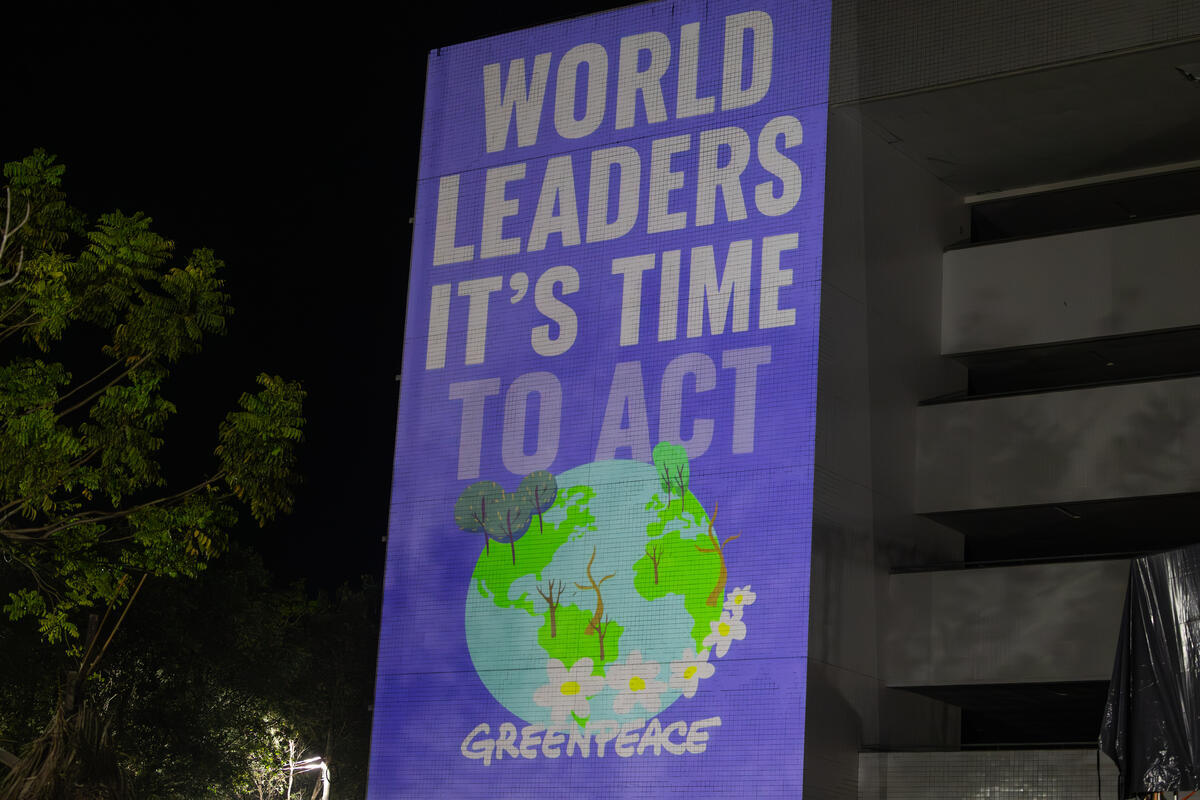 Proposed COP30 decision texts fail to raise ambition, protect forests, deliver finance