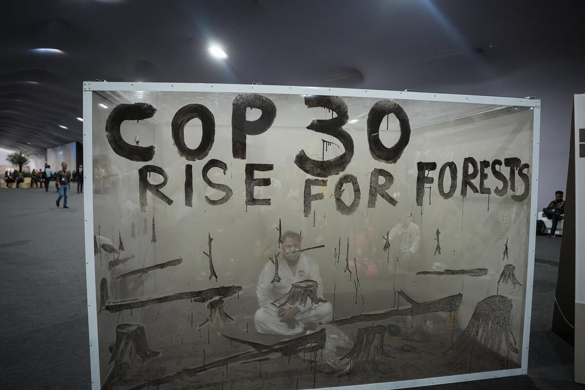 COP30 ends meekly, failing to convert momentum into forest, finance and climate action