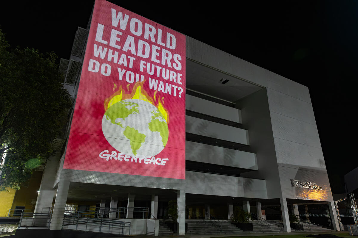 COP30: Progress on fossil fuel phase-out and forest protection, but more action needed