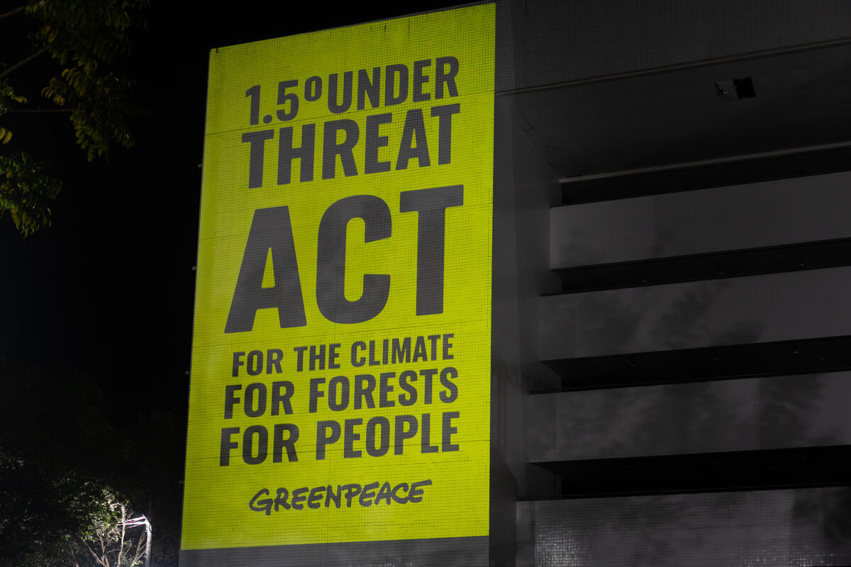 Greenpeace Africa urges African governments to back a Belém Fossil-Fuel phase-out Roadmap