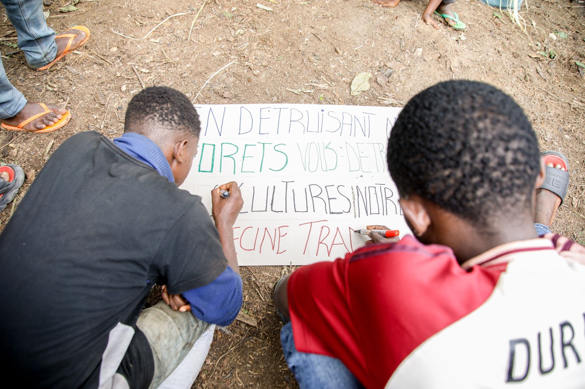Cameroun : le Centre pour l’Environnement et le Développement (CED) pointe du doigt l’accaparement foncier et ses dérives