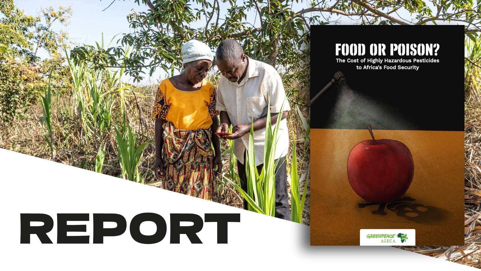 REPORT | Food or Poison? The cost of Highly Hazardous Pesticides to Africa’s food security