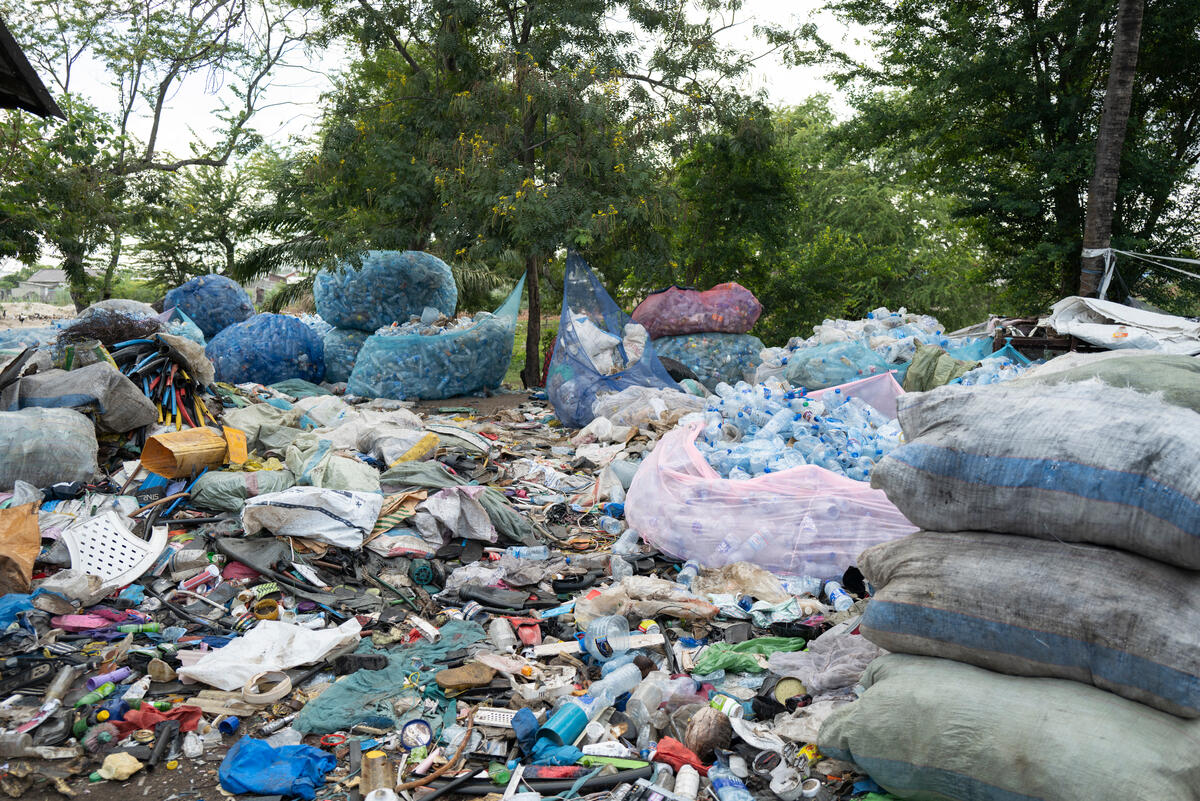 Plastic water bottles: reuse yes… but choose carefully to protect your health and the planet