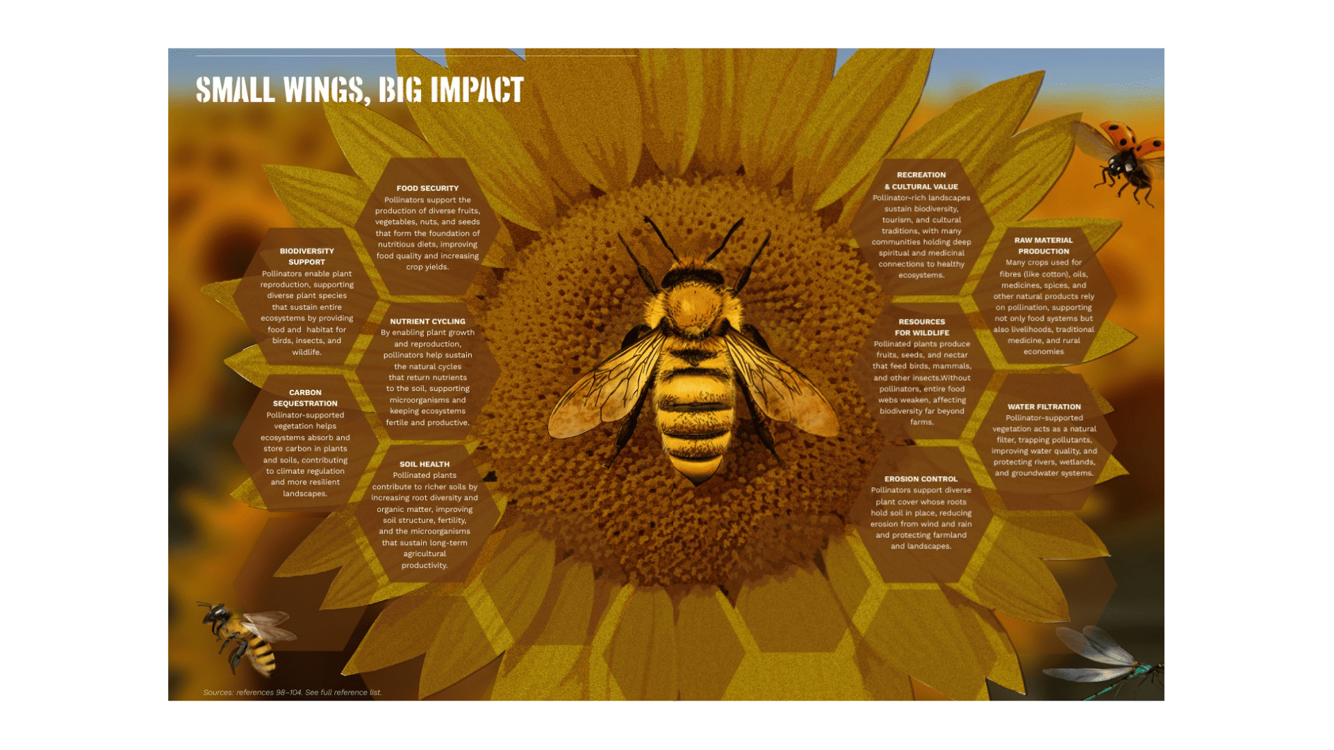 A world without bees: why pollinator decline threatens Africa’s food ...