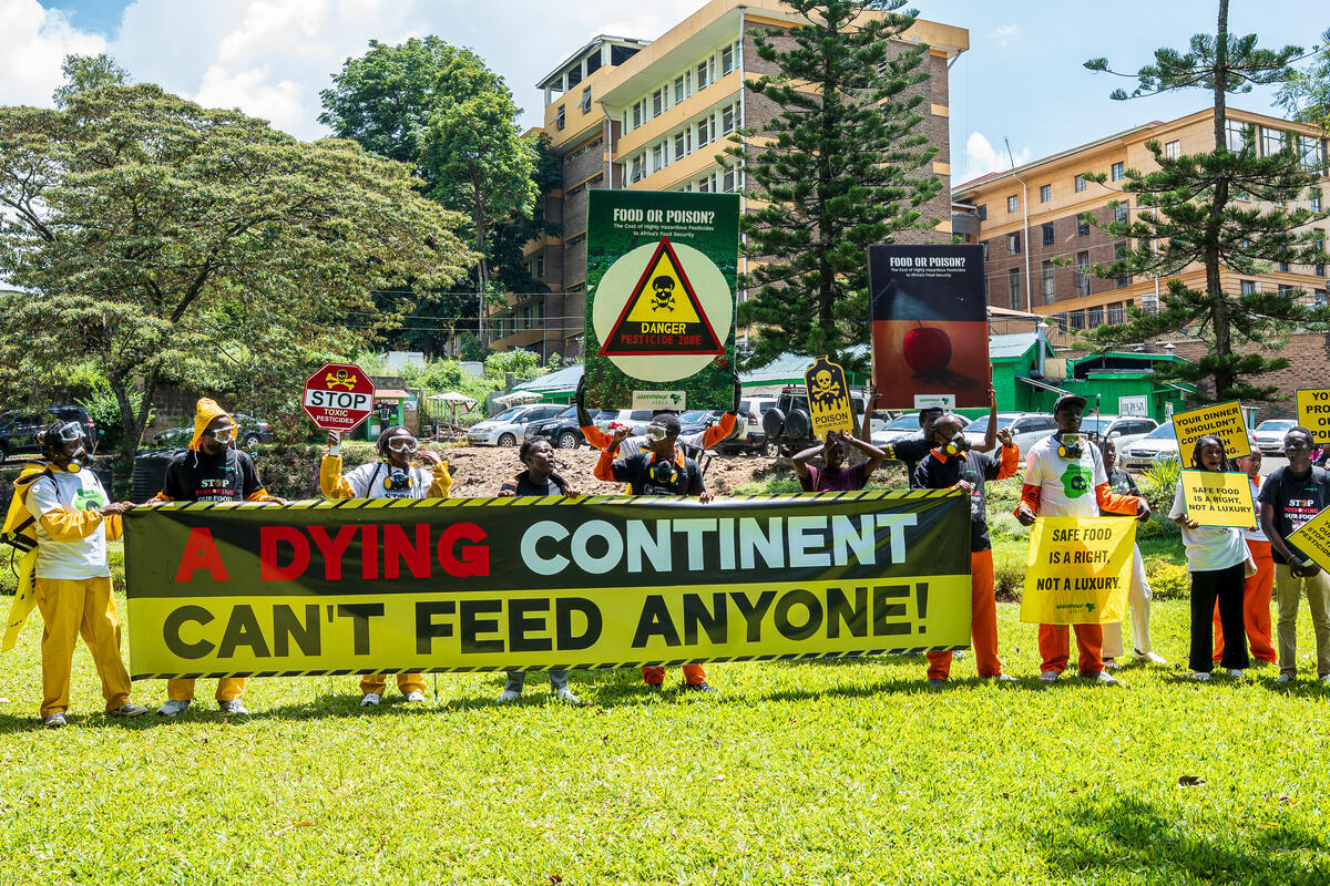 World Food Safety Day 2026: Africa’s Youth to Leaders – If It Is Not Safe, It Is Not Food