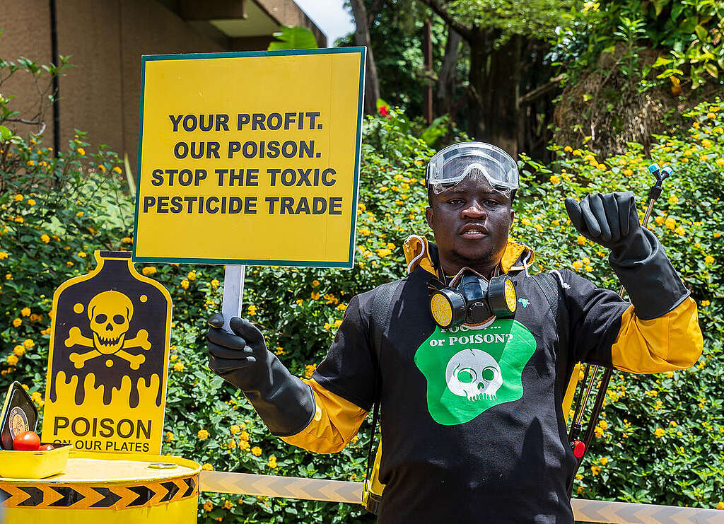 #FoodorPoison Non-Violent Direct Action in Nairobi, Kenya A partner’s briefing and report launch event was held at Heron Hotel, Nairobi. The event marked the official launch of the #FoodorPoison report, highlighting the urgent need to phase out highly hazardous pesticides and transition toward safer, sustainable agricultural practices.
The briefing brought together stakeholders to reflect on the environmental and human health impacts of toxic pesticides, ongoing policy developments, and the growing body of farmer-led and ecological alternatives. Presentations from Route to Food and PELUM Kenya showcased practical, scalable solutions that support food systems transformation.
Non-Violent Direct Action (NVDA) and a handover of the report was conducted at the Ministry of Agriculture to amplify public awareness and call for decisive government action and hand over of the report to the ministry of agriculture. The action reinforced the campaign’s central message: the phase-out of toxic pesticides is critical to protecting public health, safeguarding ecosystems, and ensuring long-term food security.