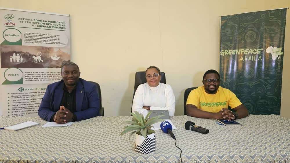 Coalition warns of plan to open tens of millions of hectares of DRC’s forests to timber industry