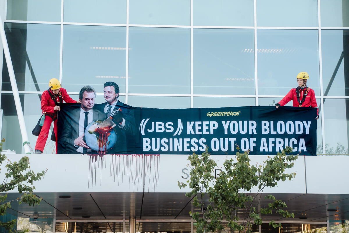 Greenpeace Netherlands activists have disrupted the first-ever shareholder meeting of meat giant JBS in the Netherlands. At the Sheraton Hotel at Schiphol Airport, where the meeting took place, activists hung a banner dripping with fake blood that read: ‘JBS: Keep your bloody business out of Africa’. A massive banner with the same message was displayed in the hotel lobby. Activists entered the meeting hall, where Greenpeace Director Marieke Vellekoop personally served an information request to the JBS CEOs. This document formally signals that Greenpeace Netherlands is taking legal action against the company. The goal of the legal battle is to block JBS's destructive expansion plans in Nigeria.