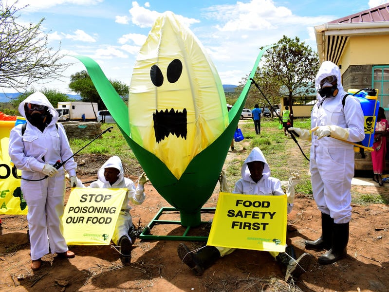 The double standard of toxic pesticides and the legal case for corporate accountability in Africa