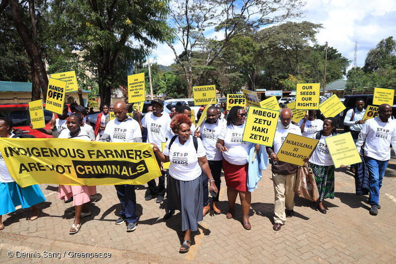 From our soil to the UN General Assembly: Africa’s women farmers demand change