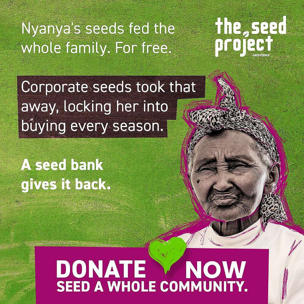 seed-blog
