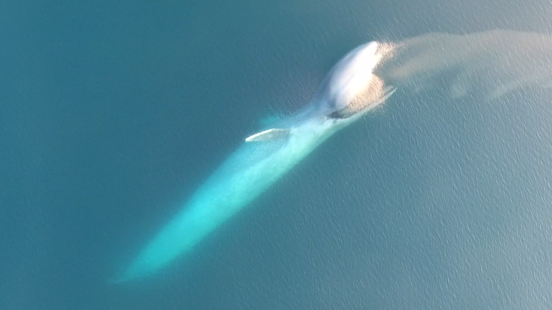 What is seabed mining, and how does it threaten the ocean?