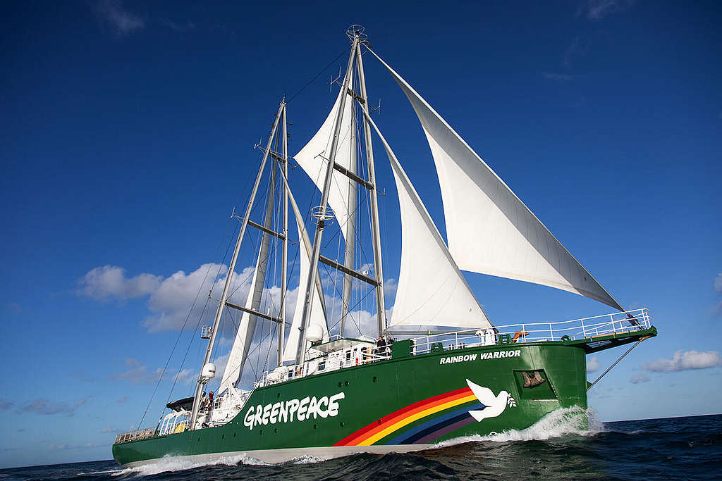 A dark green sailing ship sails in UK waters. It has the Greenpeace logo on the side and is emblazoned with a dove and rainbow.