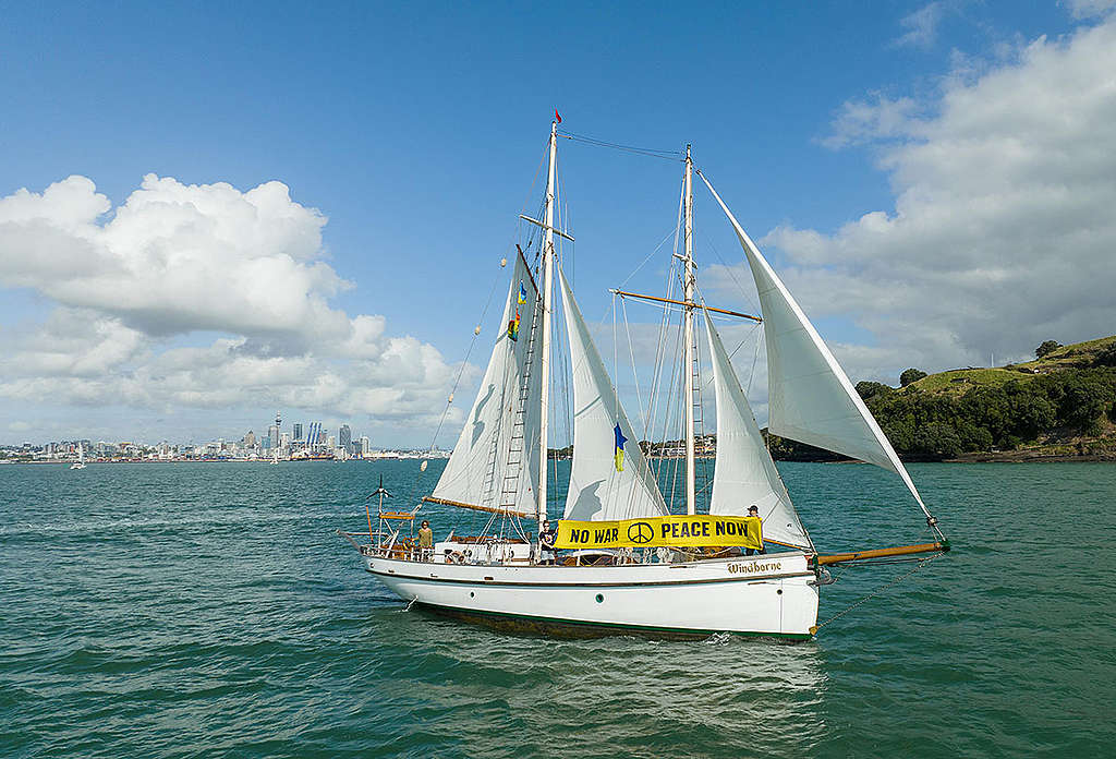 The Windbourne sails out of Auckland's Waitemata Harbour to join the Ukraine Peace Flotilla heading to the Russian oligarch Alexander Abramov's luxury Helena bay retreat in Northland © Greenpeace / Geoff Reid