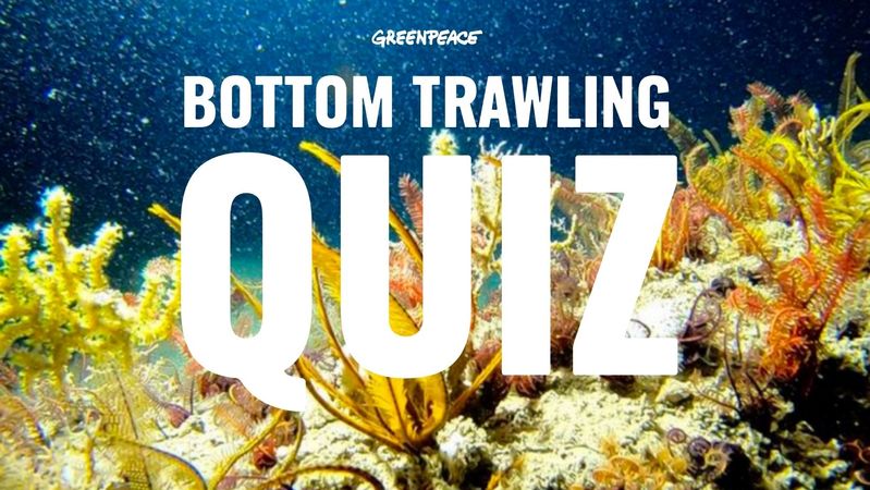 QUIZ: Test your bottom trawling knowledge