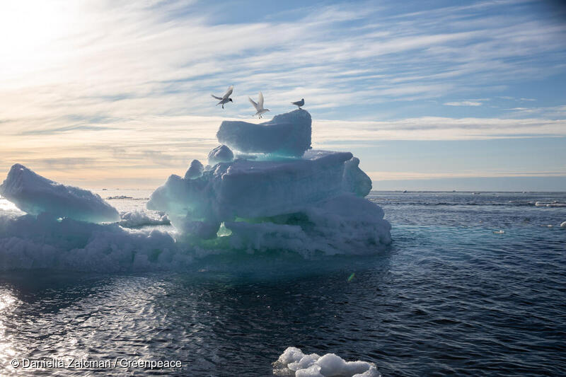 Why do we need a Global Ocean Treaty?