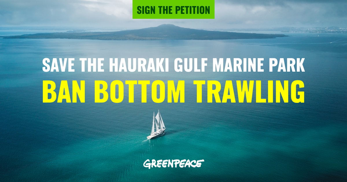 PETITION: Ban bottom trawling in the Hauraki Gulf