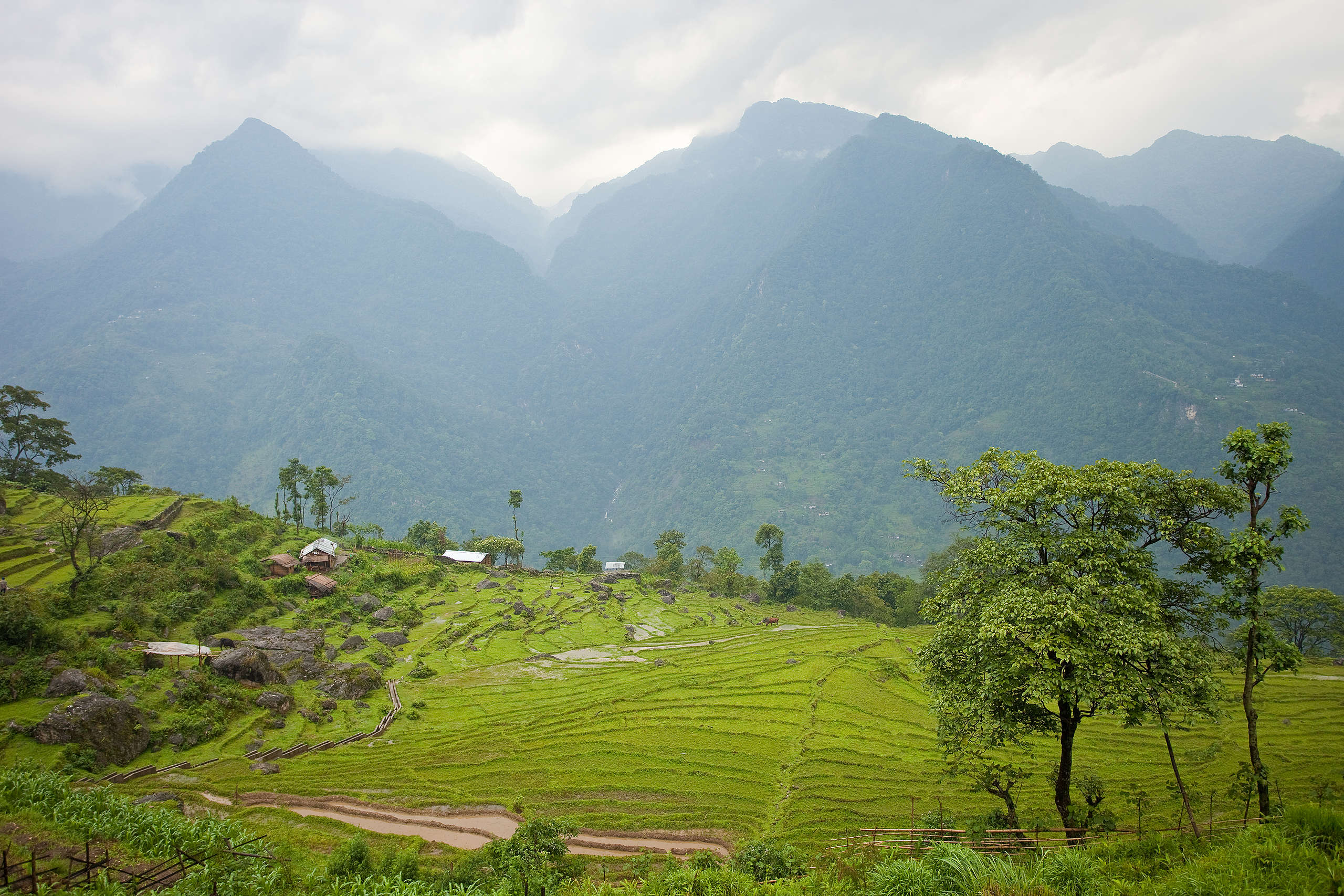 The state that proved it’s possible to go 100% organic