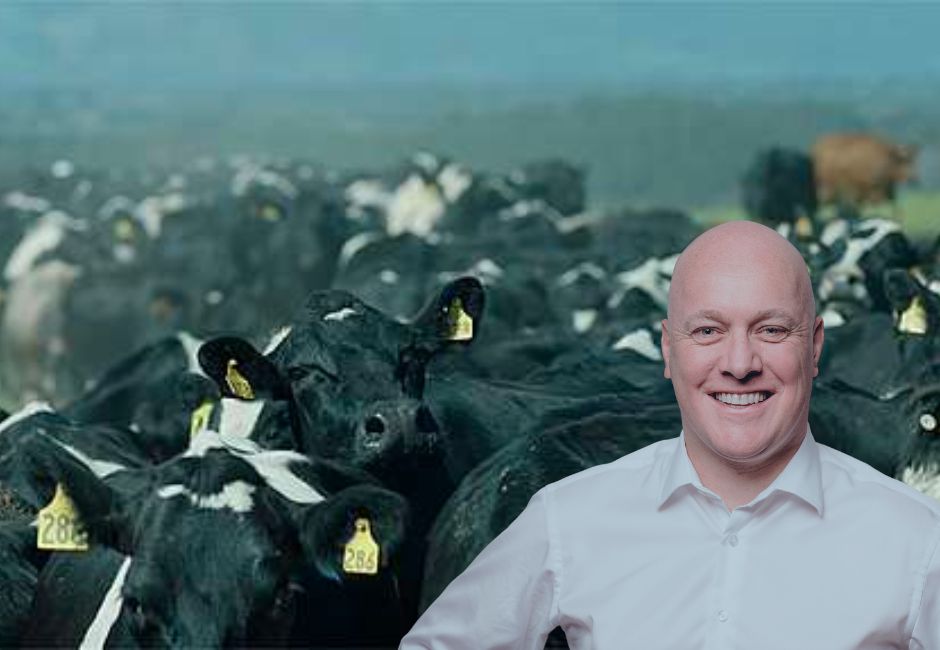 Luxon Government to favour dairy pollution at the expense of drinking water
