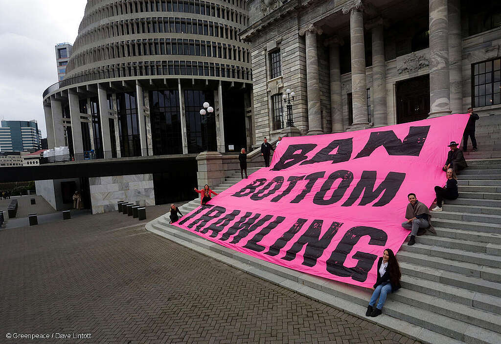 Members of the Hauraki Gulf Alliance hand in a petition calling for a ban on bottom trawling in the Hauraki Gulf, received by Green MP Eugenie Sage. Greenpeace Aotearoa Ban Bottom Trawling campaign, at NZ Parliament in Wellington, New Zealand on Thursday, 22 June 2023.
People present are Angie Warren-Clark (Labour Party MP), Benn Winlove (Legasea), Scott Simpson (National Party MP), Helen White (Labour MP), Bianca Ranson (Forest & Bird), Teanau Tuiono, (Green Party MP) Eugenie Sage (Green Party MP), Ellie Hooper (Greenpeace), Ricardo Menendez (Green Party MP)