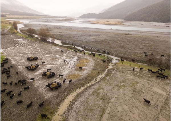 Tell Prime Minister Christopher Luxon to stop the rollback of freshwater protection