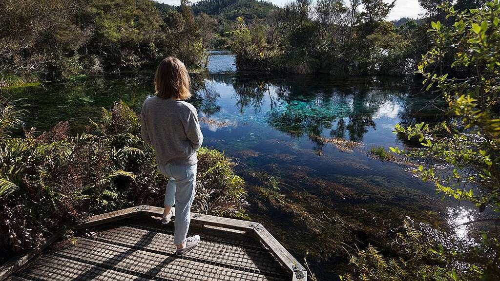 A beautiful pool of water surrounded by green, we see the back of someone looking across it A beautiful pool of water surrounded by green, we see the back of someone looking across it